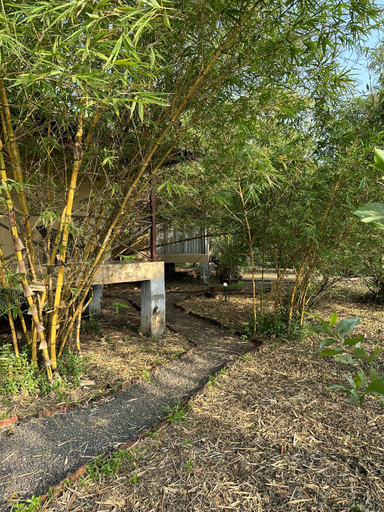 Others 4, Aranya Phansad Resort, Raigarh