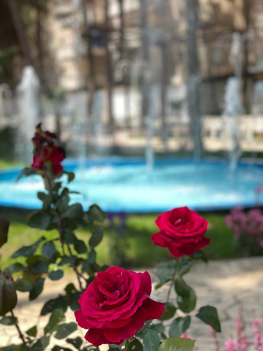 Others 3, Atrium Deluxe Resort, Kavajës