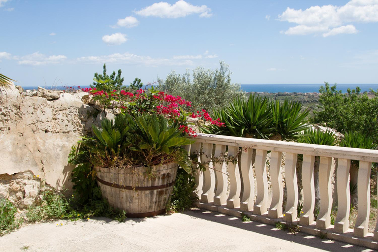 Others 4, Agriturismoeloropizzuta, Syracuse
