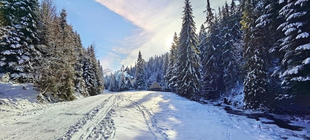 4, Bacowka Polanki, Nowy Targ