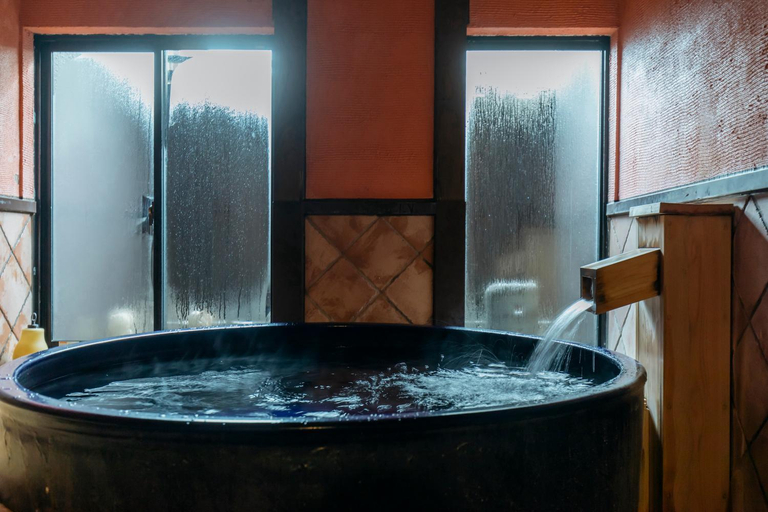 Bathroom 4, Sensui, Toyooka