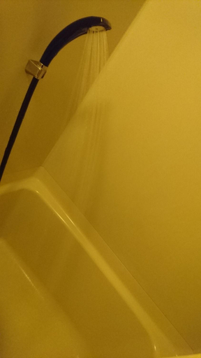 Bathroom 3, Hotel Himeji Hills, Himeji