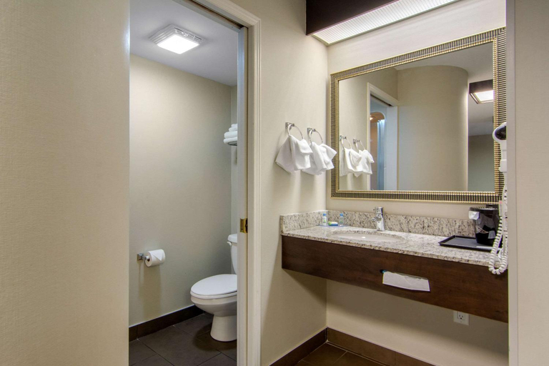 Bathroom 2, Sleep Inn, Algoma