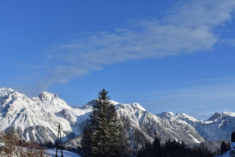 Scenery 2