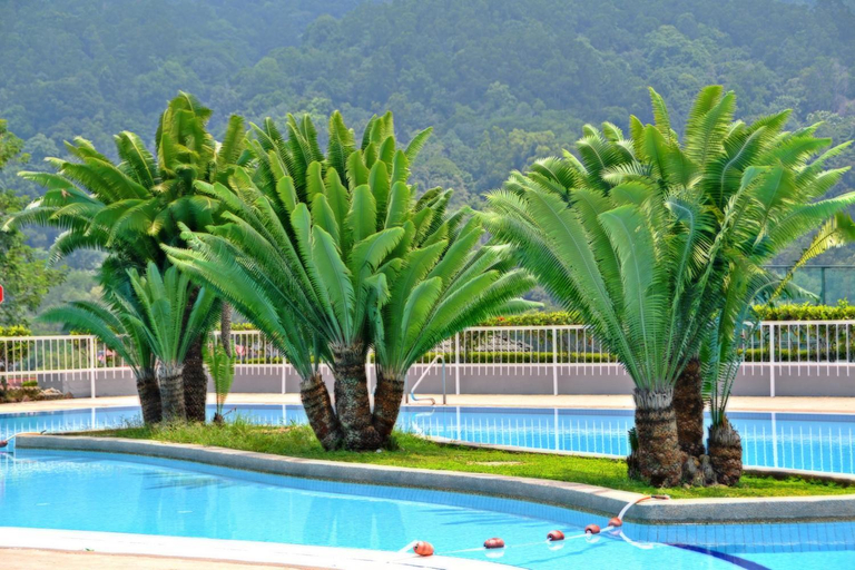 Sport & Beauty 2, Meru Suites At Meru Valley Resort, Kinta