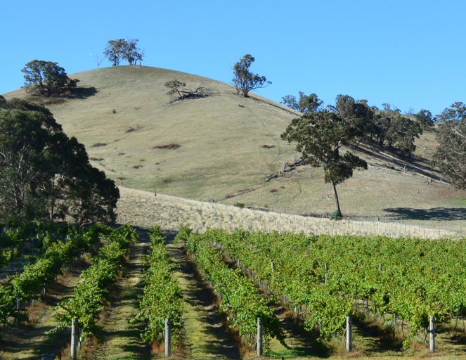 Others 5, Blue House at Mountainside Wines, Ararat
