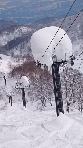 Others 3, Nozawa Dream, Nozawaonsen