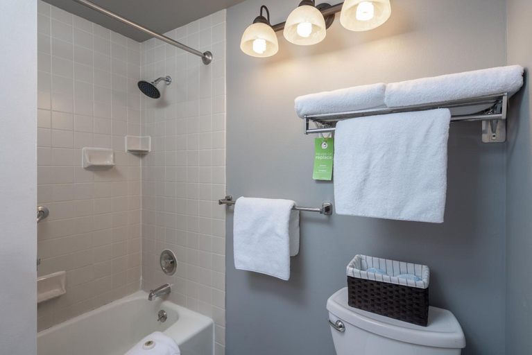 Bathroom 3, The Tamarack Lodge, Blaine