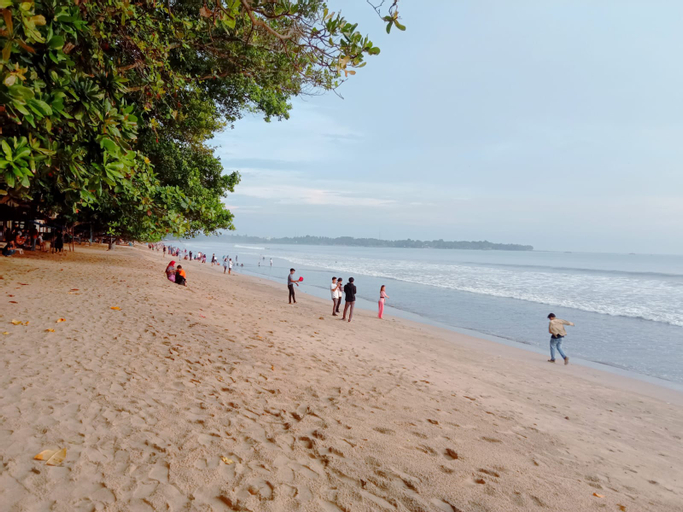 Scenery 16
