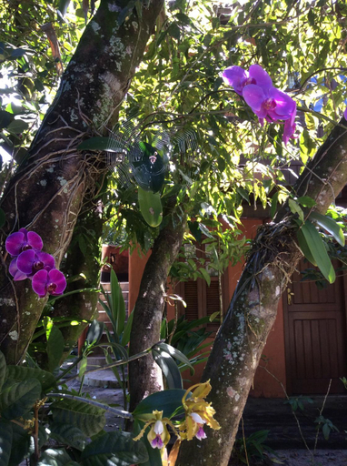 Others 3, Canto do Sabia Caraiva, Porto Seguro