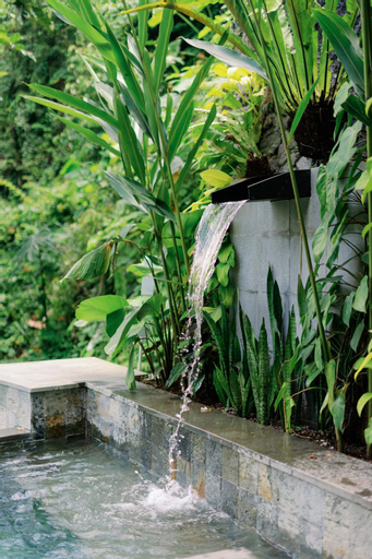 Swimming Pool 8
