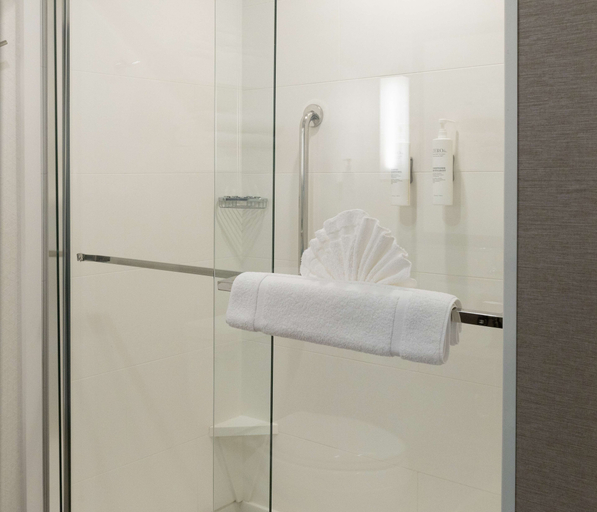 Bathroom 4, Hilton Garden Inn Austin Airport, Travis