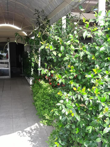 Food & Drinks, Hotel Florakis, Central Greece