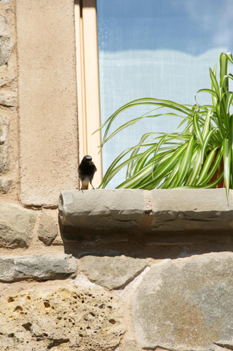 Others 3, Corte della Maddalena, Reggio Nell'Emilia