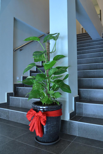 Others 5, U Design Hotel Mentakab, Temerloh