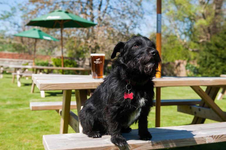 Others 5, The White Hart, South Harting, West Sussex
