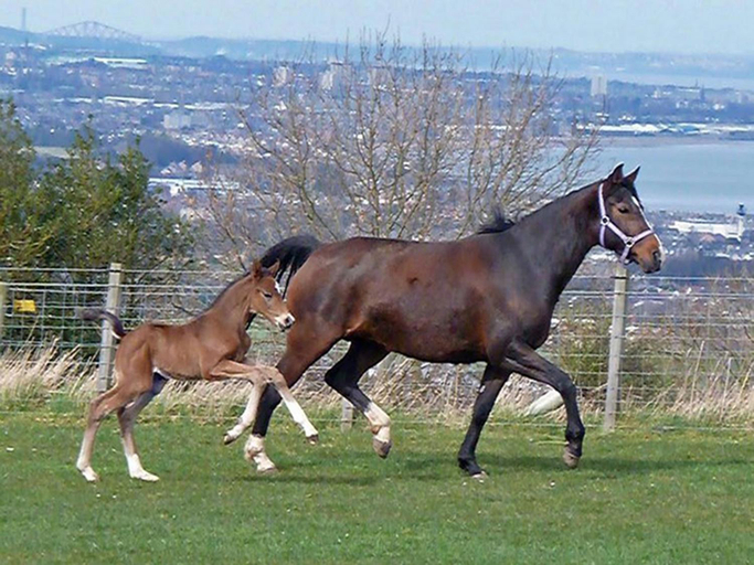 Others 4, Faside Estate, East Lothian
