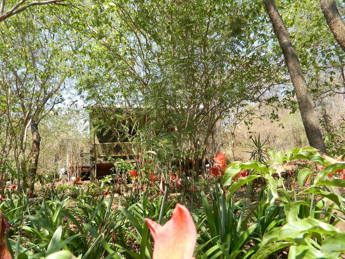 Others 5, Kwalape Safari Lodge, Chobe