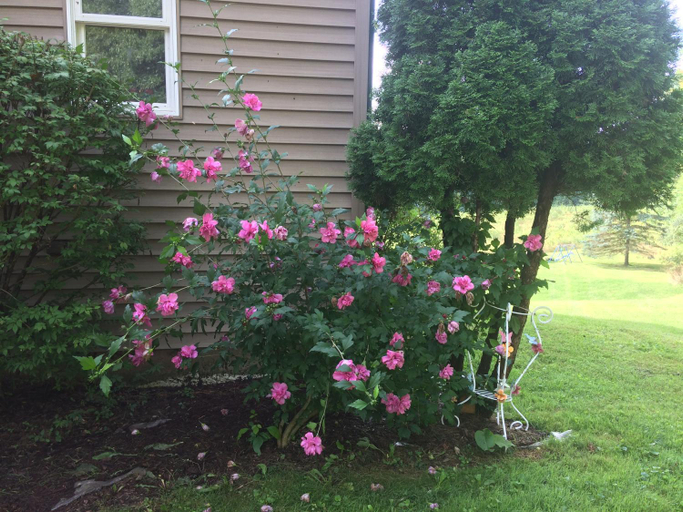 Others 4, Spruce Hill Inn and Cottages, Richland