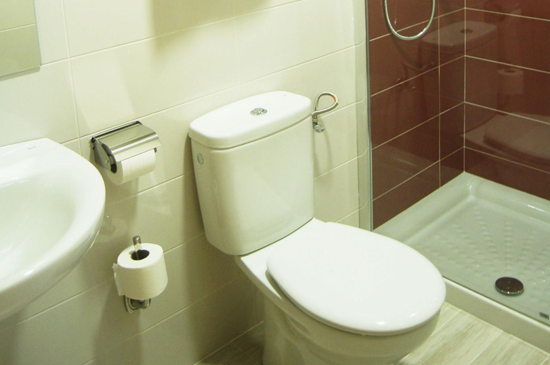 Bathroom 3, Hotel Lupa, Asturias
