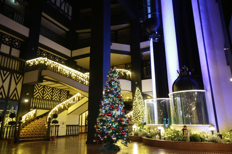 Public Area 2, Hotel Green Plaza Hakuba, Otari