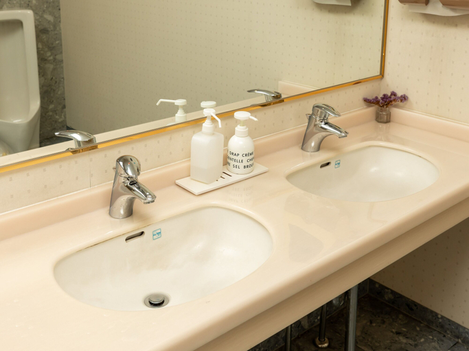 Bathroom 3, Hirosaki Toei Hotel, Hirosaki