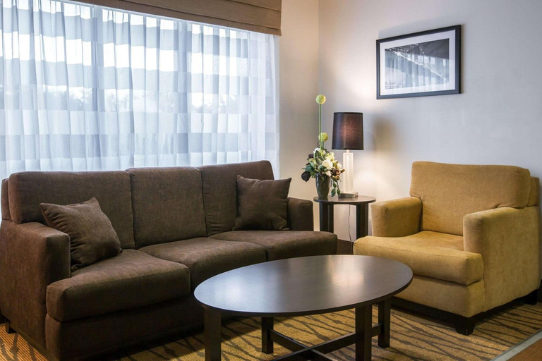 Public Area 2, Sleep Inn Douglasville, Douglas
