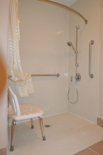 Bathroom 4, Executive Inn Snyder, Scurry