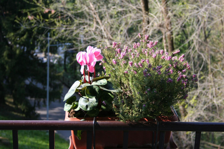 Others 2, B&B I Ghiri, Bergamo