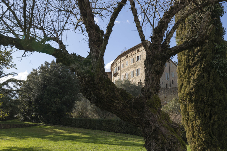 Others 4, CASTELLO DI SOVICILLE- RESIDENZA D'EPOCA, Siena