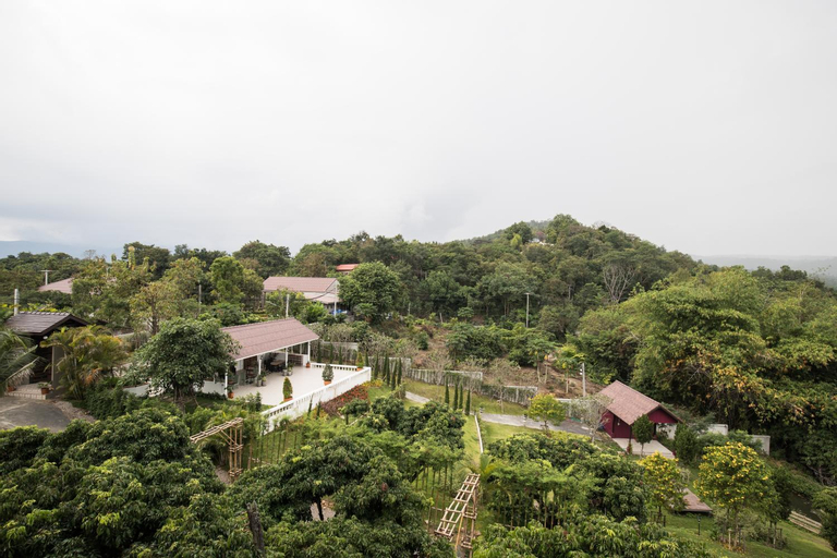 Scenery 2