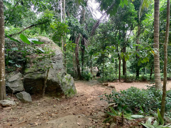 Others 5, Gallene Gala Nature Resort, Yatiyanthota
