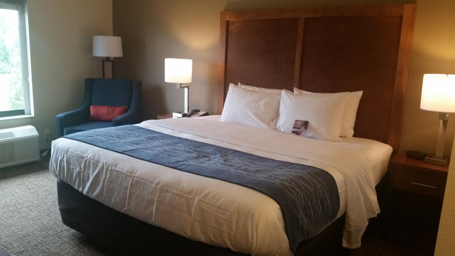 Bedroom 3, Comfort Inn White House, Robertson