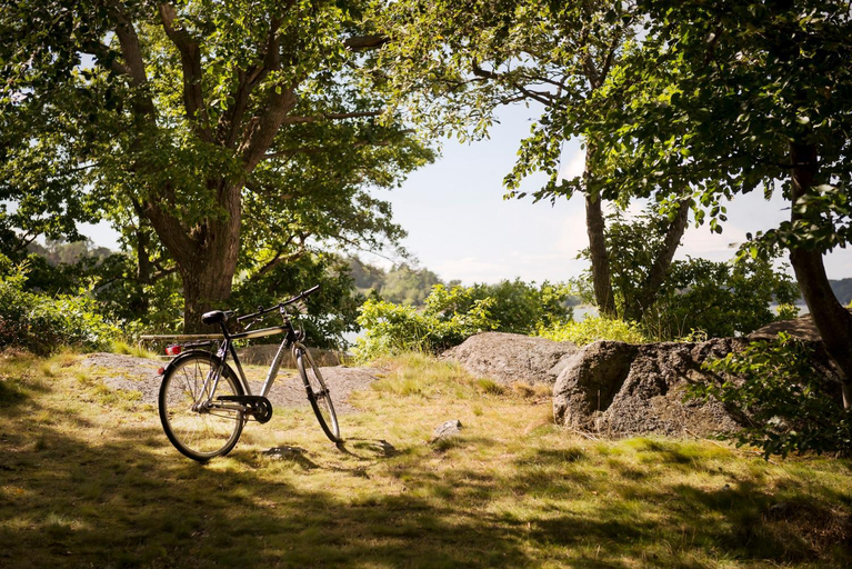 Others 4, First Camp Hokensas-Tidaholm, Tidaholm