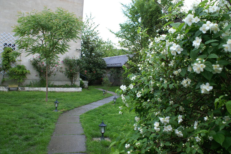 Others 5, Hotel Celeste, Haute-Garonne