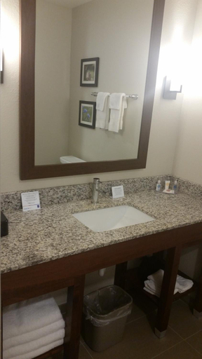 Bathroom 4, Comfort Inn White House, Robertson