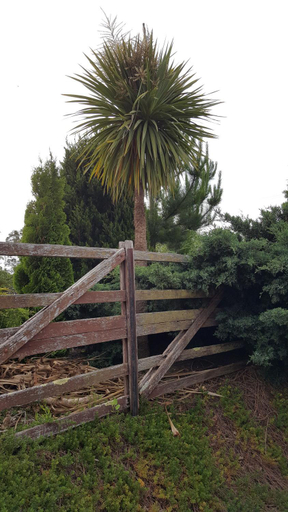 Others 5, Hazelcreek Cottages, West Tamar - Pt B