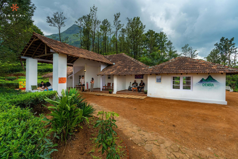 Exterior & Views 2, Zostel Plus Wayanad, Wayanad