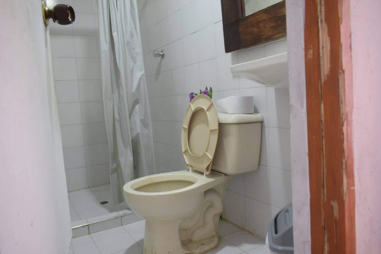 Bathroom, MANGO TREE HOSTEL 4 20, Cartagena de Indias