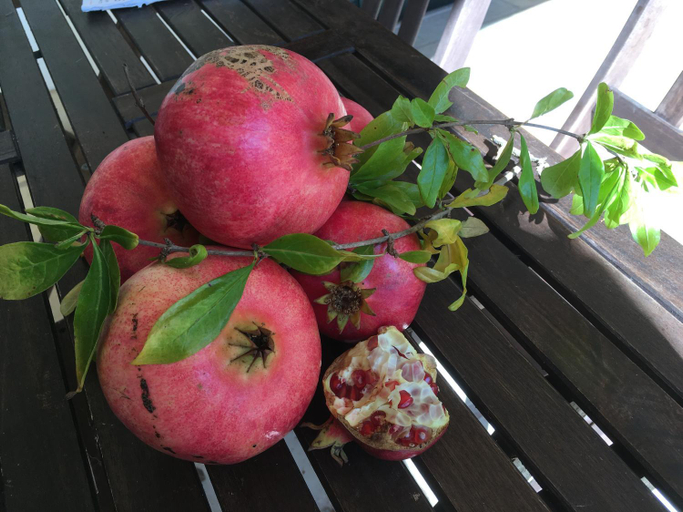 Food & Drinks 5, Corte dei Salentini Bed & Breakfast, Lecce