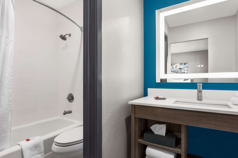 Bathroom 4, La Quinta Inn by Wyndham Temple, Bell