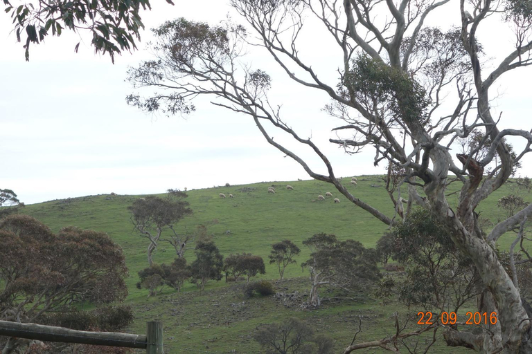 Others 2, Morella Farmstay, Yankalilla