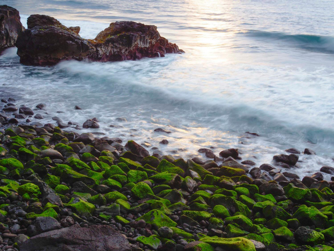 Others 2, Patio Hostel - Adults Only, Santa Cruz de Tenerife