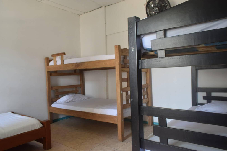Bedroom 3, MANGO TREE HOSTEL 4 20, Cartagena de Indias