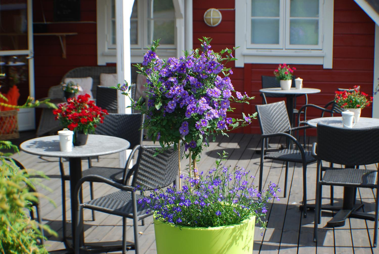 Food & Drinks 4, Topcamp Bie - Grimstad, Grimstad