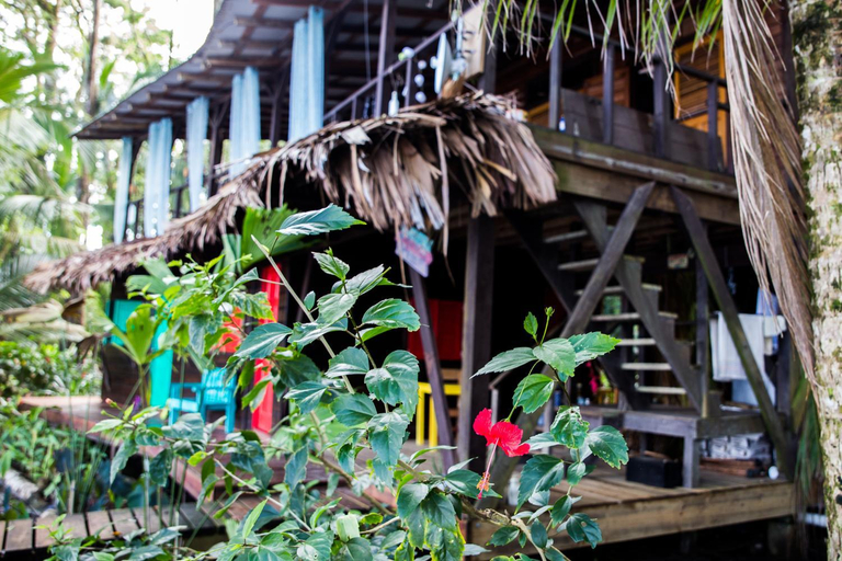 Others 2, Carmen's place, Bocas del Toro