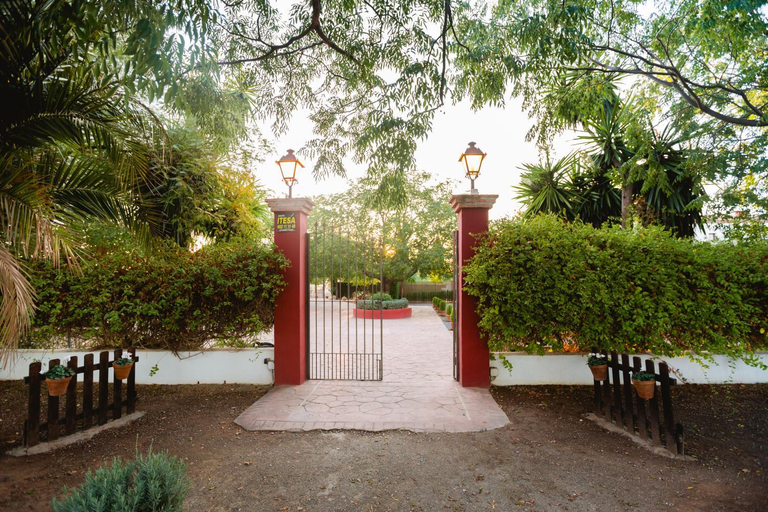 Others 5, Cortijo Carrillo, Málaga