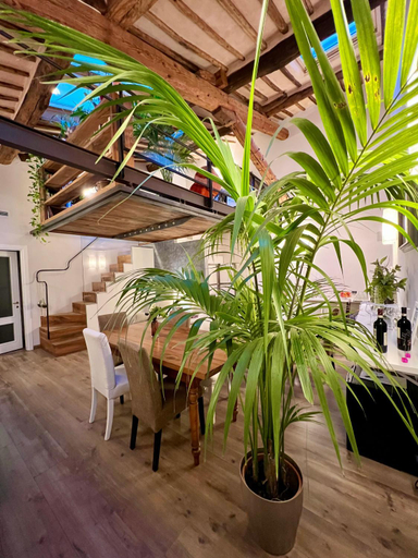 Others 5, B&B Palazzo Bruchi, Siena