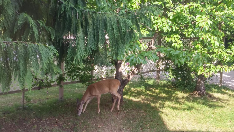 Others 5, Cornerstone Bed and Breakfast, Columbia-Shuswap
