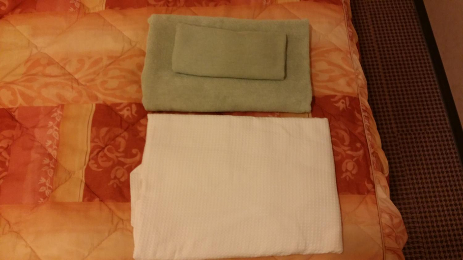 Others 4, Kochi Ryoma Hotel, Kōchi